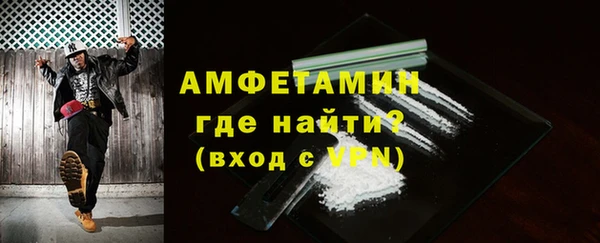 ПСИЛОЦИБИНОВЫЕ ГРИБЫ Горно-Алтайск