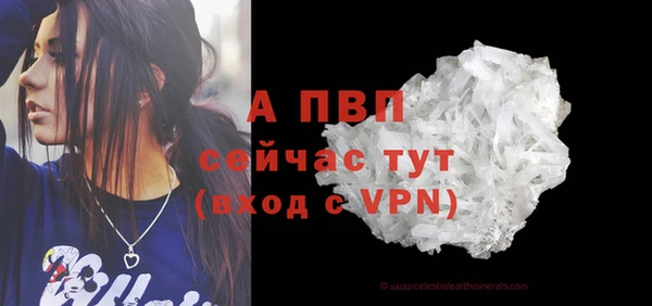 винт Горняк