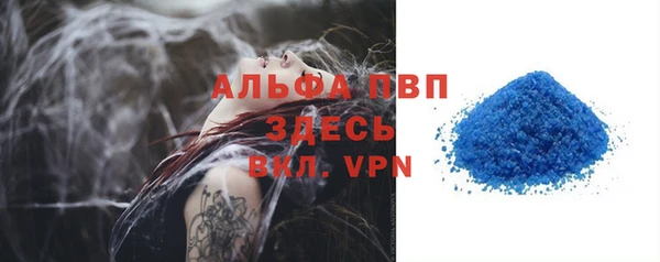 ПСИЛОЦИБИНОВЫЕ ГРИБЫ Горно-Алтайск