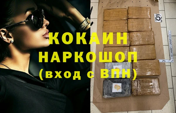 винт Горняк