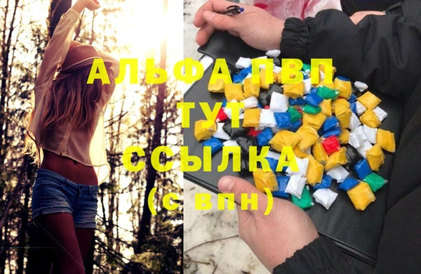 ПСИЛОЦИБИНОВЫЕ ГРИБЫ Горно-Алтайск