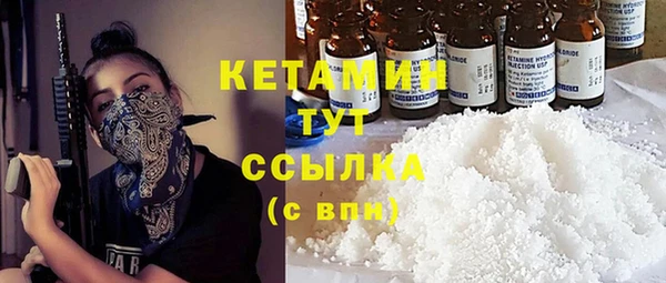 ПСИЛОЦИБИНОВЫЕ ГРИБЫ Горно-Алтайск
