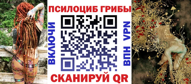 Псилоцибиновые грибы мухоморы  Купить  Плавск 
